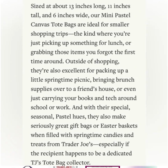 2026 Trader Joe’s Mini Tote - Purple White - Picture 3 of 9